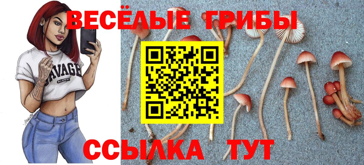 Галлюциногенные грибы MAGIC MUSHROOMS Уфа
