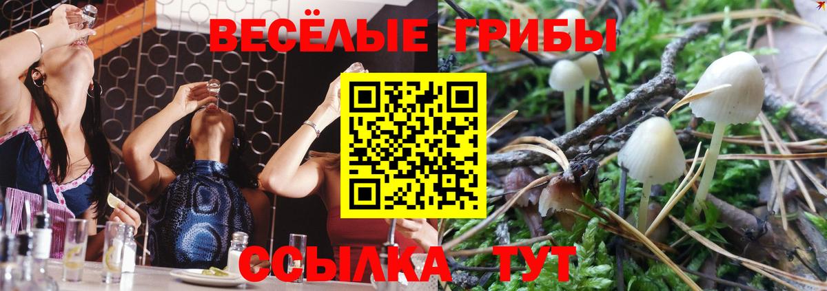 Уфа  Галлюциногенные грибы мухоморы  Галлюциногенные грибы прущие грибы  Вход с VPN 